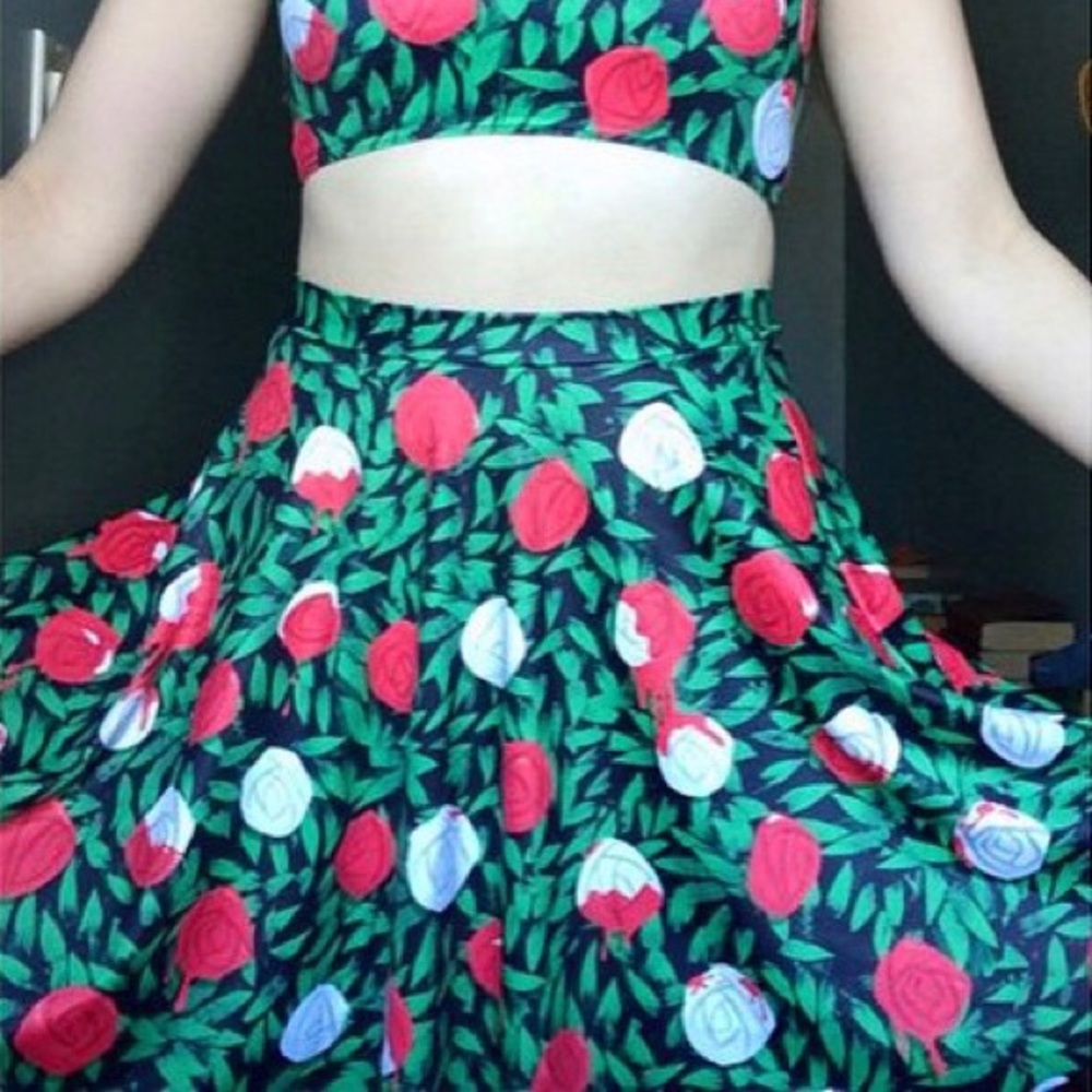 Blackmilk Clothing Painting The Roses Red Skirt